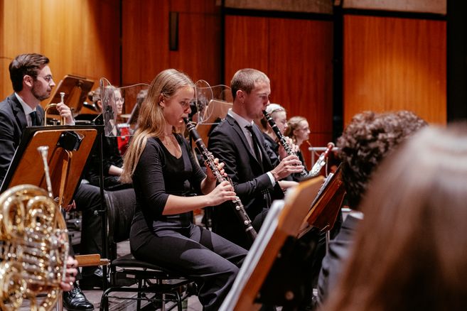 Schwäbisches Jugensinfonie Orchester