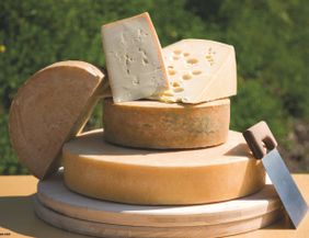 Fünf verschiedene Käsesorten auf Holzbrettern gestapelt, davor ein Käsemesser.